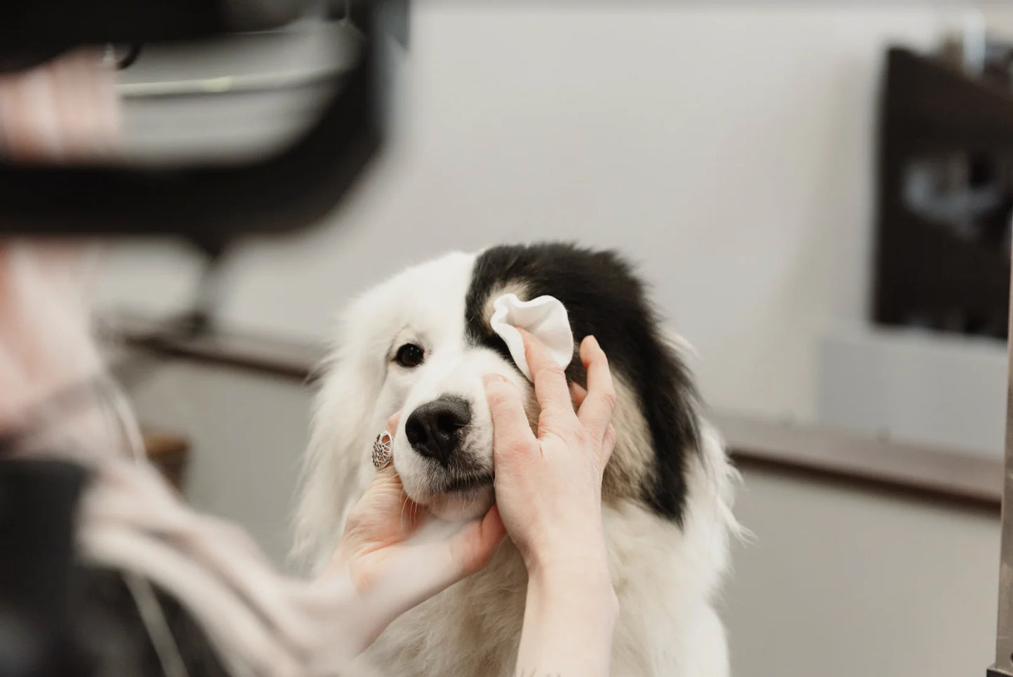For All Dog Kind Topical Tear Cleaner