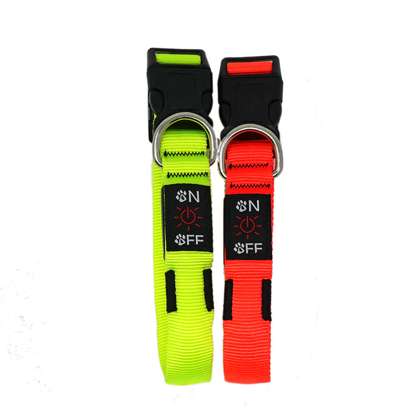 Miro & Makauri LED Flashing Collar