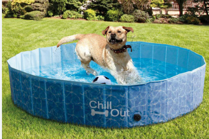 All for Paws Dog Pool