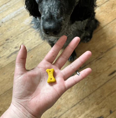 Beco - Treats for Dogs - Peanut