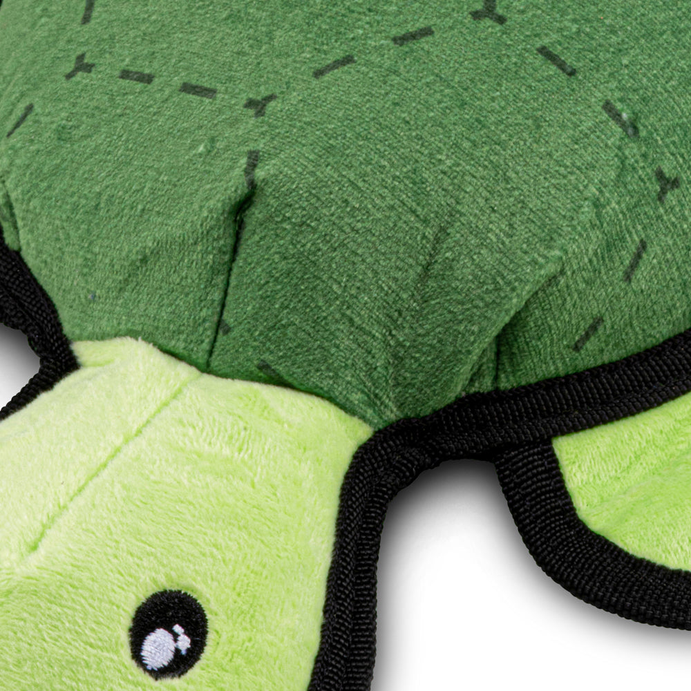 Beco - Tommy the Turtle closeup