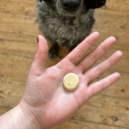 Beco - Traning Treats for Dogs - chicken liver