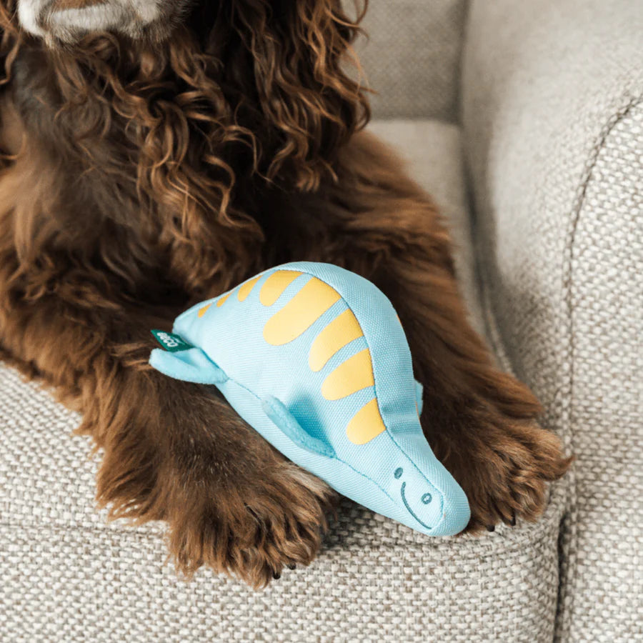 Beco Dino Paws Paddy the Plesiosaurus