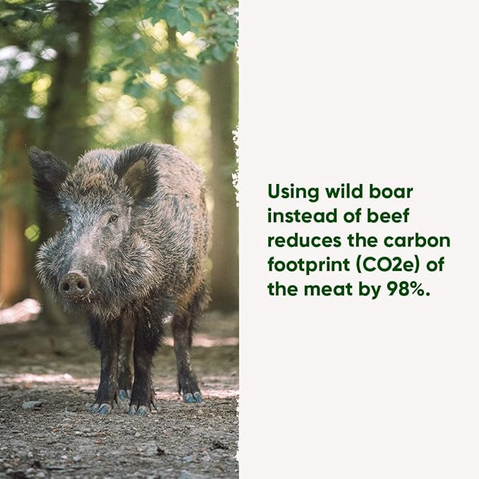 Beco Free Roaming Wild Boar
