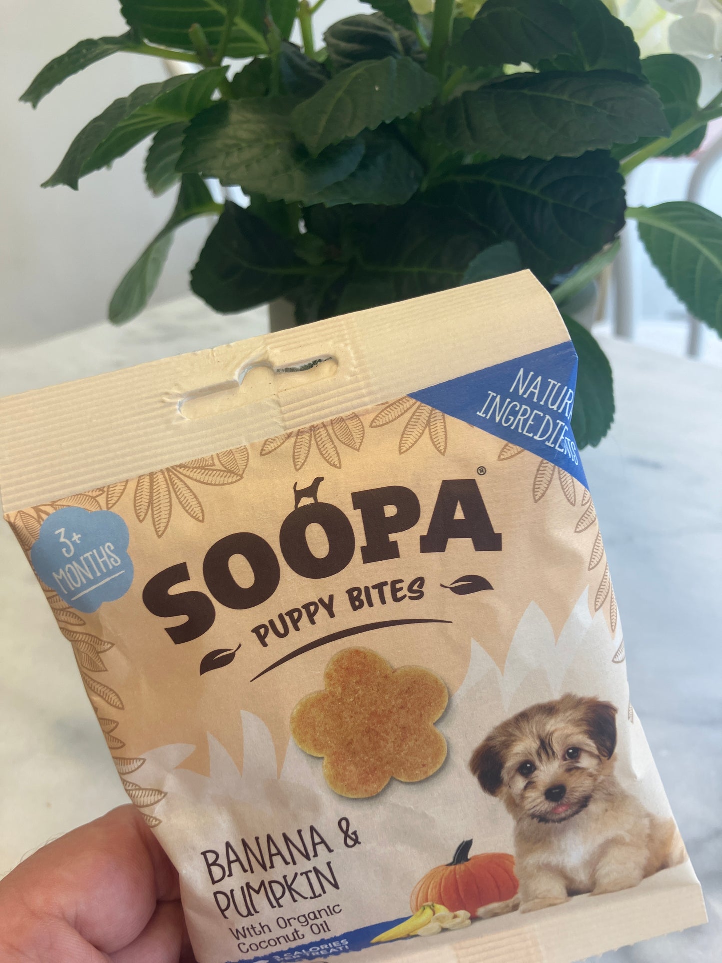 Soopa Banana & Pumpkin Puppy Bites