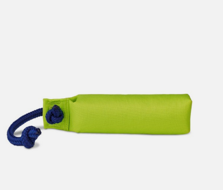Coachi Training Dummy