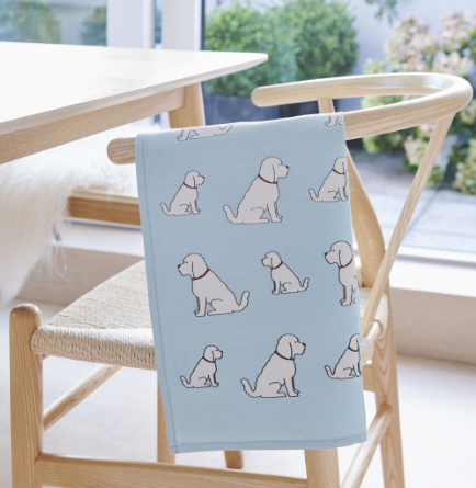 Cockapoo_Labradoodle