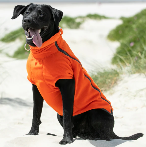 Spot on dog jacket best sale