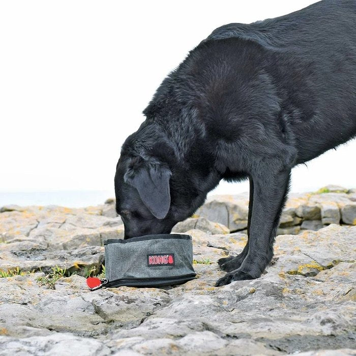 Kong Travel Bowl