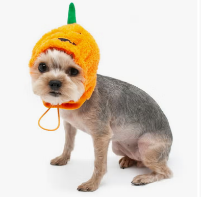DOGO New York - Jack O Hat