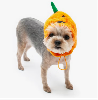 DOGO New York - Jack O Hat