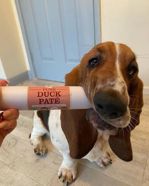 JR Pets Pure Duck Pate