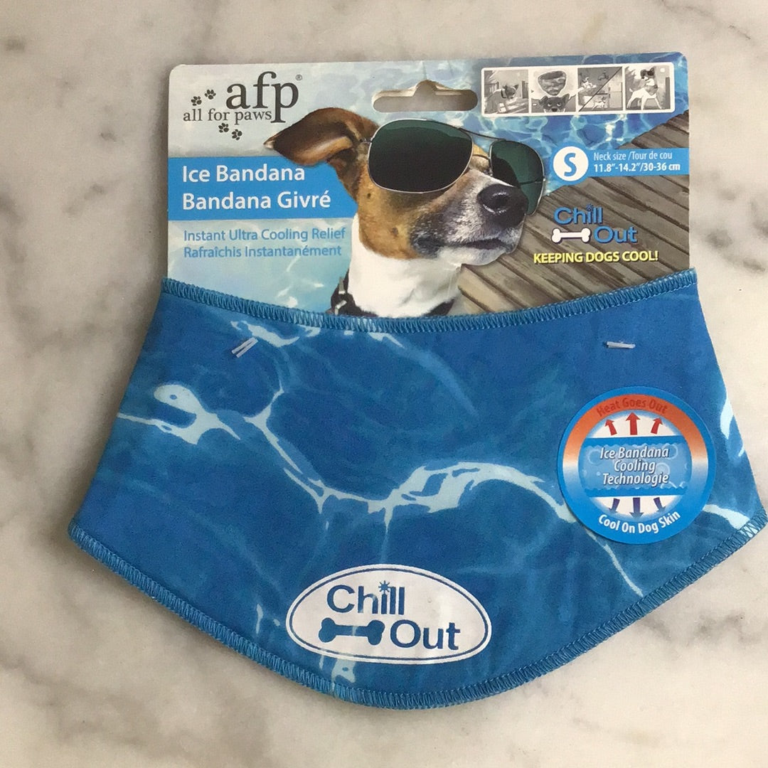All for Paws Ice Bandana