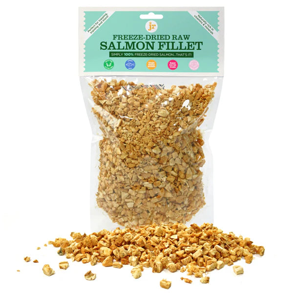 Freeze-dried raw salmon fillet