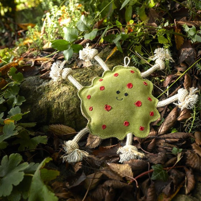 Green & Wild’s Splodge
