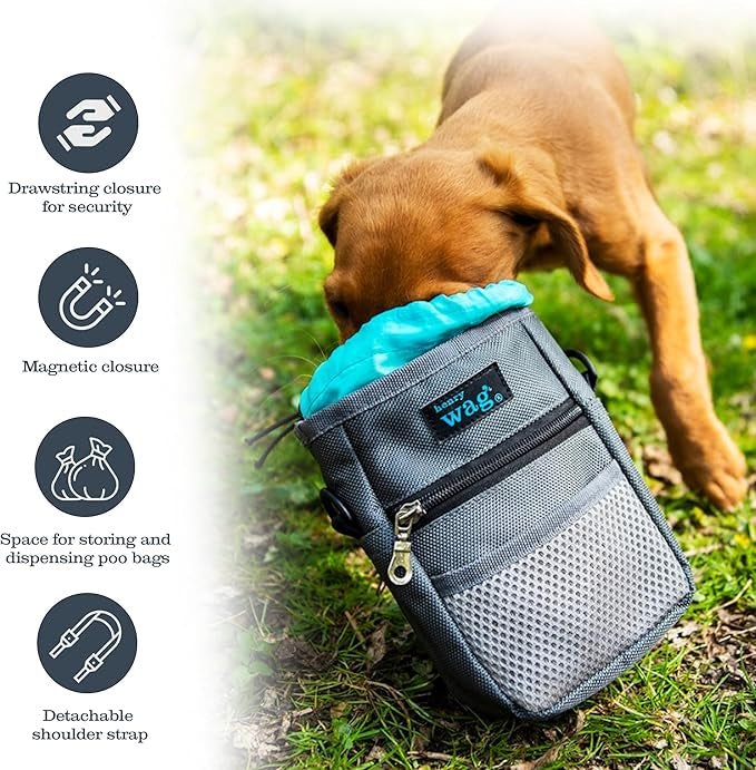 Henry Wag Dog Treat Travel Bag
