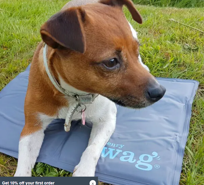 Henry Wag Pet Cooling Mat