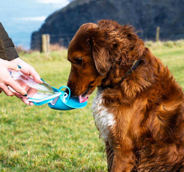 Henry Wag Pet Water Bottle with Leaf Bowl