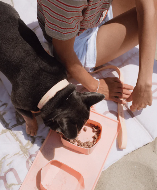 Maxbone Go Bowl - Silicone Collapsible Food Bowl