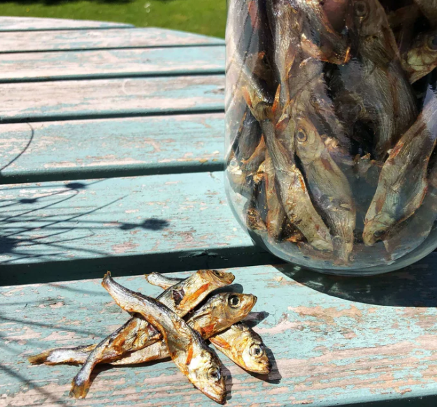 Natural Cornish Pet - Dried Sprats