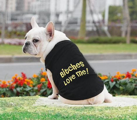 Parisian Pet 'Bitches Love Me' Funny Dog Shirt