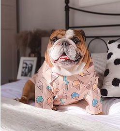 Hey Bert - Dog Shirt