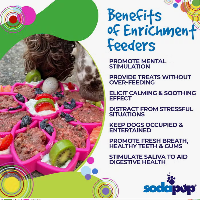 Sodapup Mandala Design Etray Enrichment Tray For Dogs