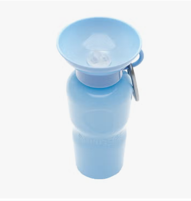 Springer water bottle