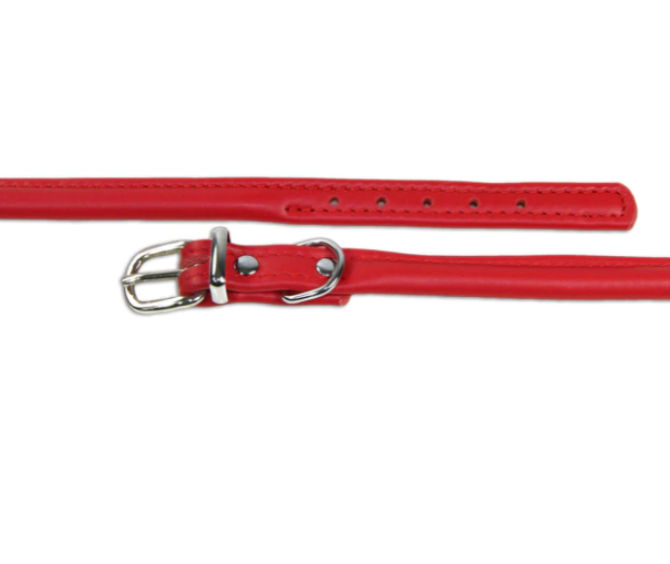 Earthbound Rolled Leather Collar