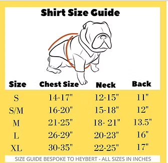 Hey Bert - Dog Shirt