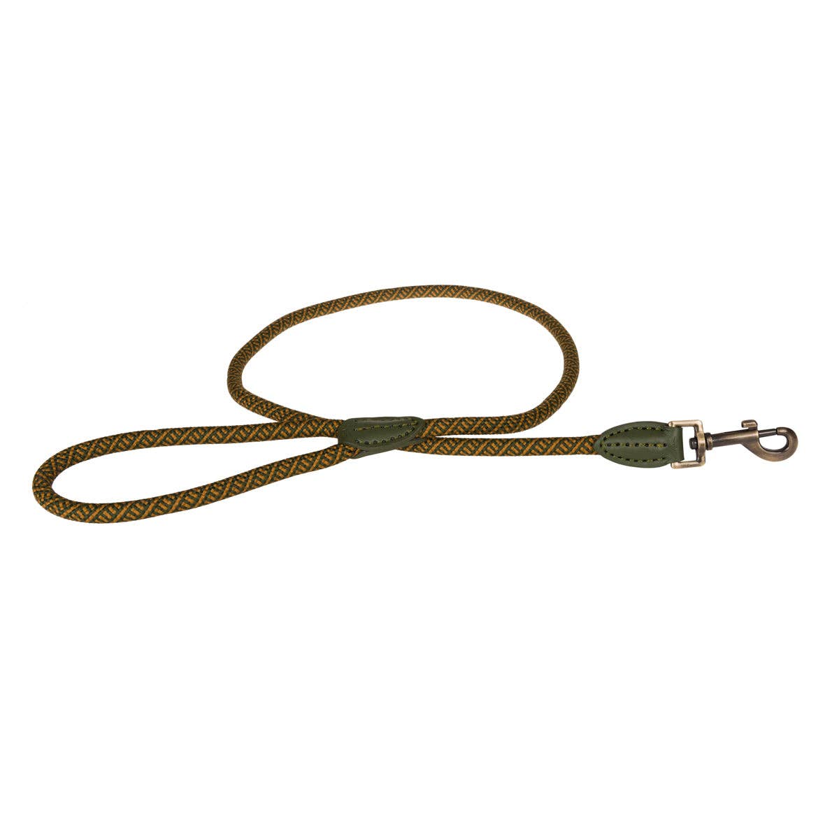 Green dog leash with a metal clip on a white background