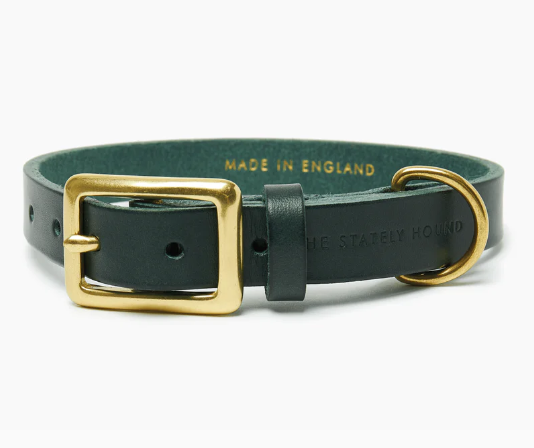 Stately Hound - Brass Riveted Leather Dog Collar