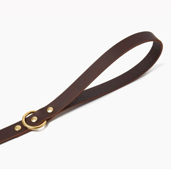 Stately Hound - Brass Riveted Leather Dog Lead
