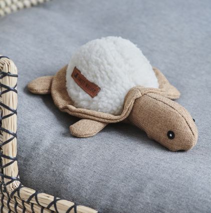 Sweet William Horatio the Turtle