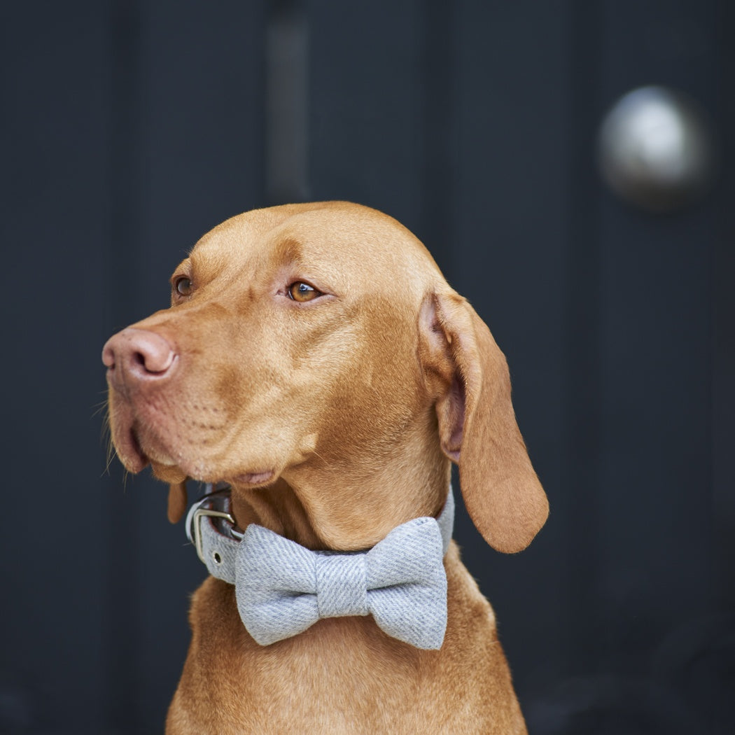 Sweet William Tweed Bow Tie