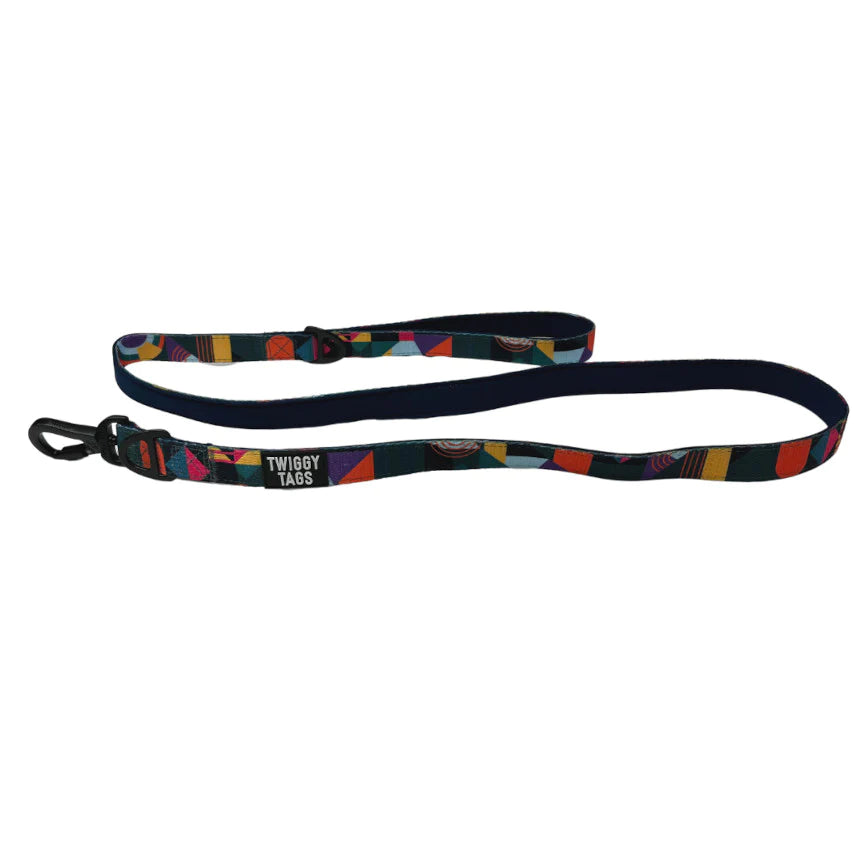 Twiggy Tags Adventure Lead Aurora