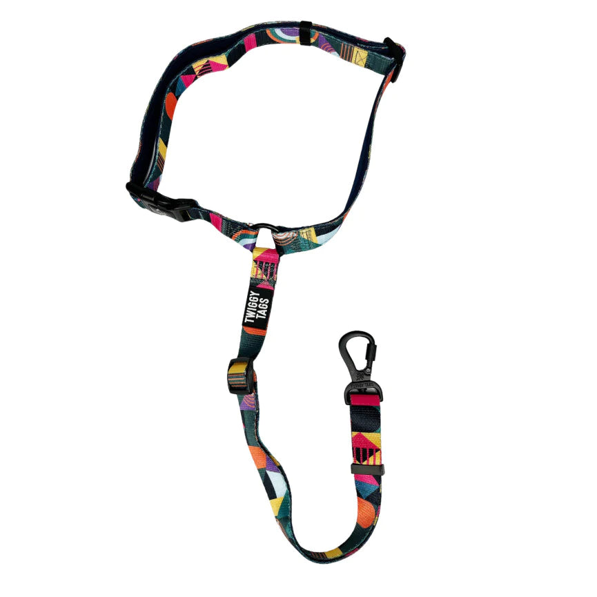 Twiggy Tags Dog Seatbelt Aurora