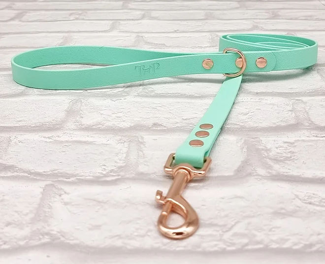 Trinkety Paws Waterproof BioThane© Dog Lead