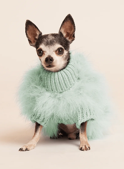 Maxbone Christian Cowan Fluffy Feather Jumper for Dogs