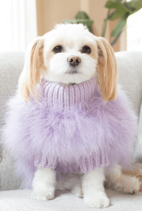 Maxbone Christian Cowan Fluffy Feather Jumper for Dogs