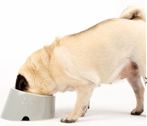 Scruffs Classic Flat Faced Dog Bowl - Grey