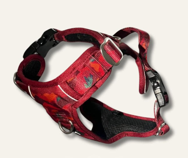 Twiggy Tags Aplenglow Harness