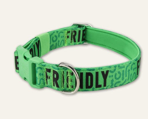 Green dog collar with 'FRIENDLY' text on a white background