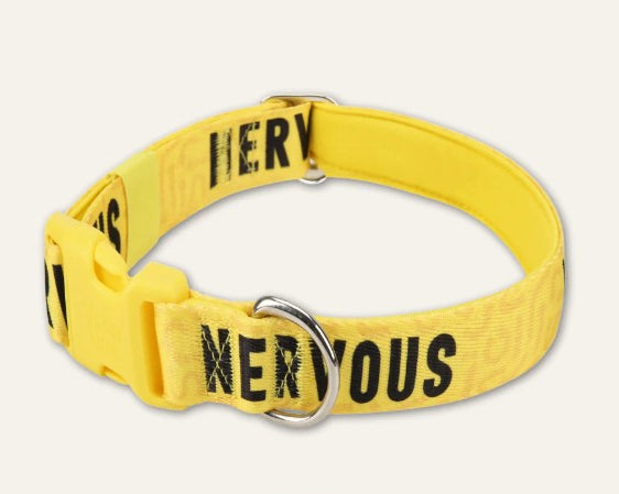 Yellow dog collar with 'Nervous' text on a white background
