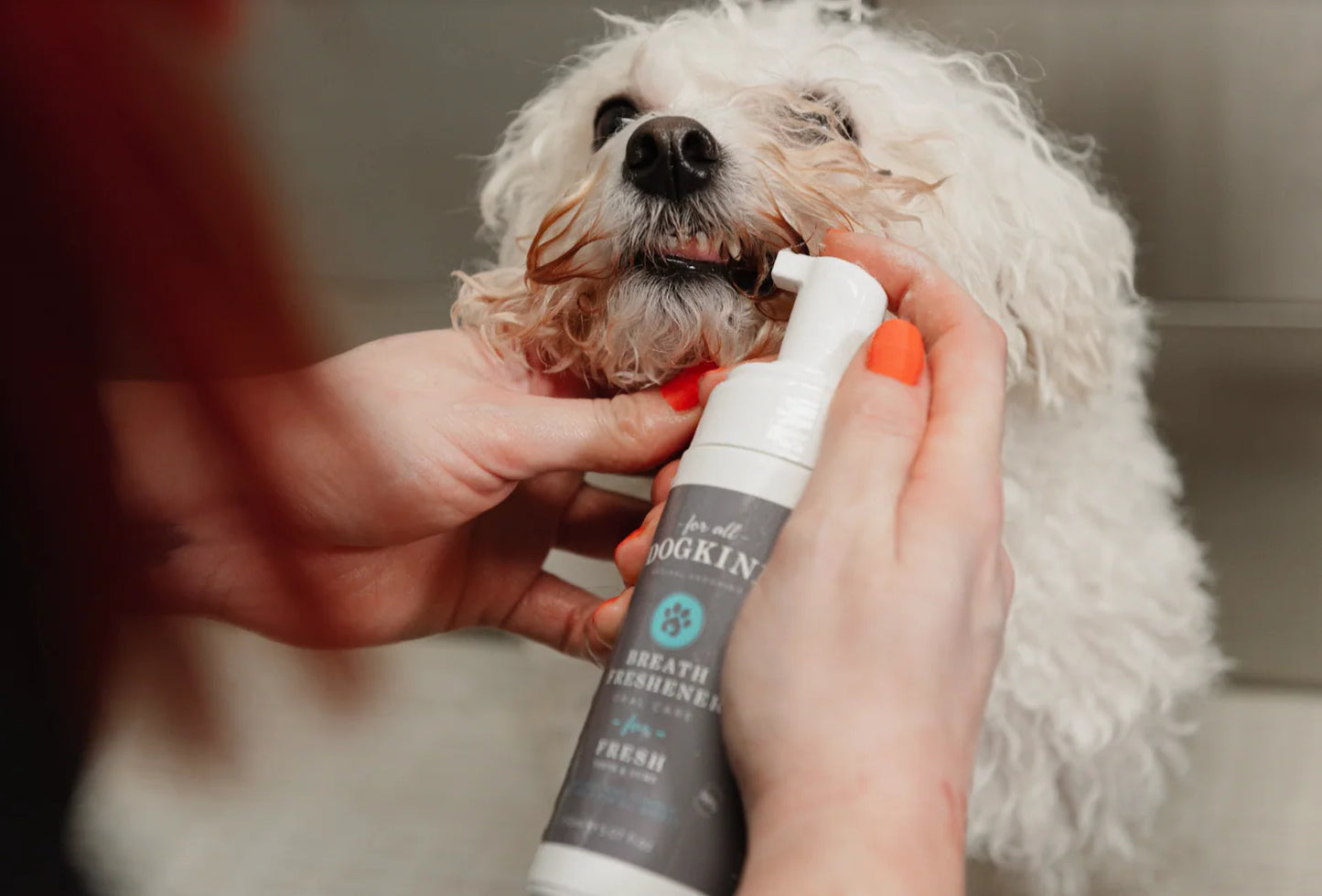 For All DogKind Breath Freshener