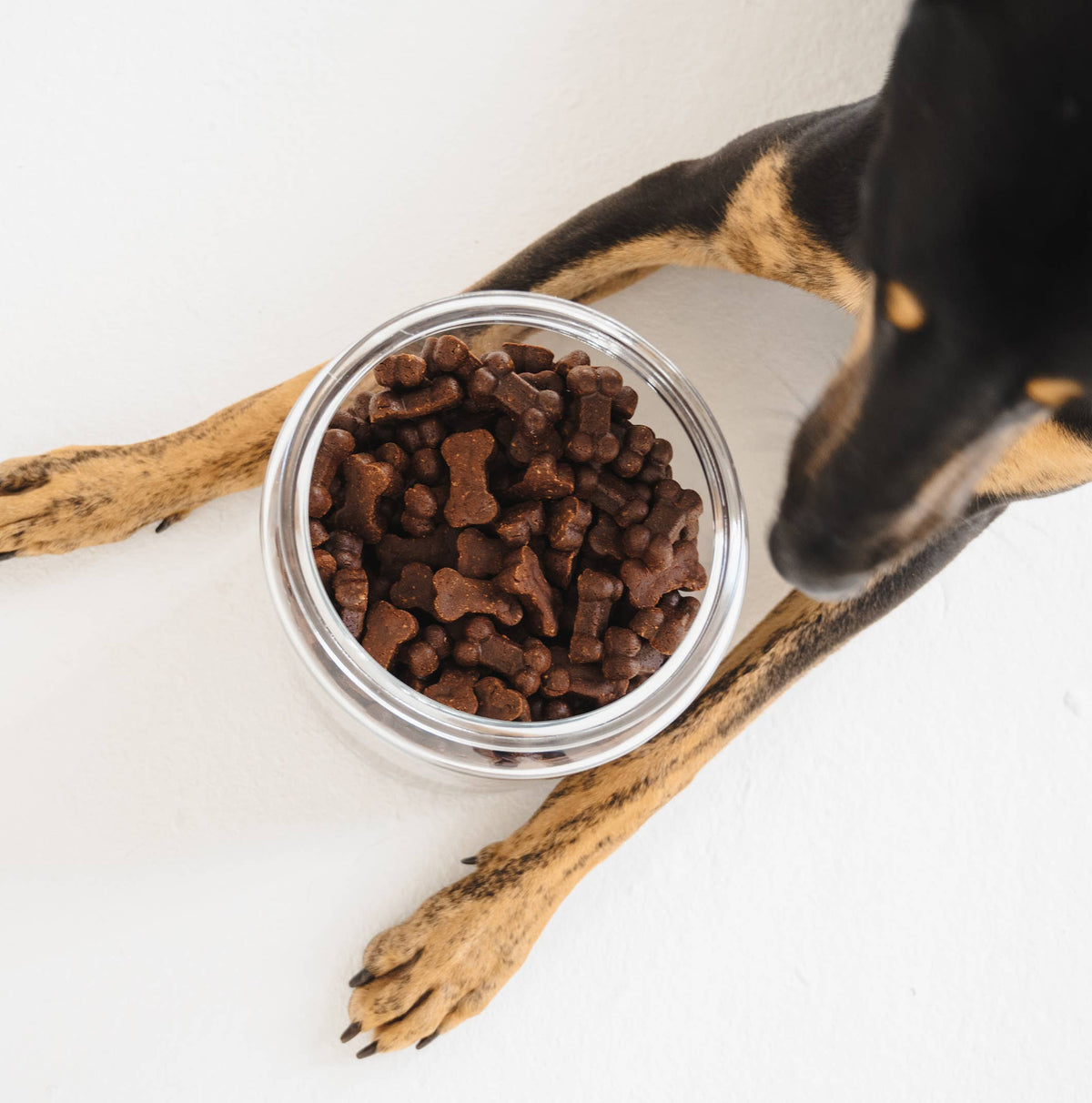 Gizzls Soft Bites Peanut Butter & Banana Dog Treats (150g)