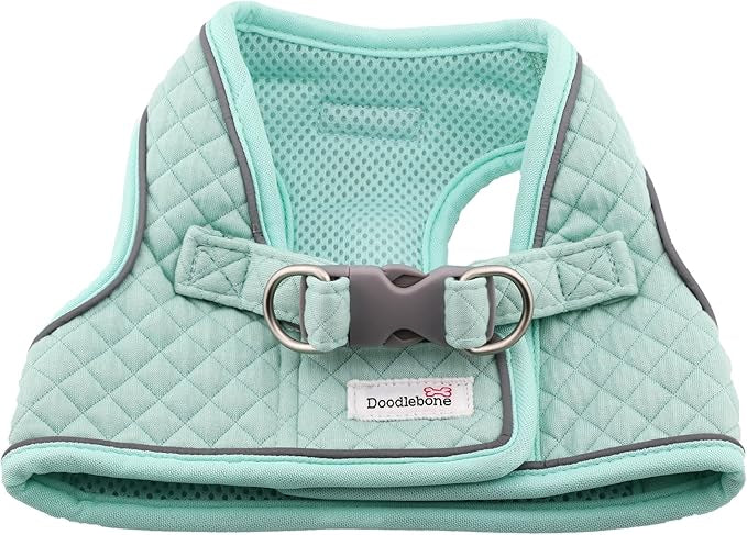 Doodlebone Dinky Dog Snappy Harness