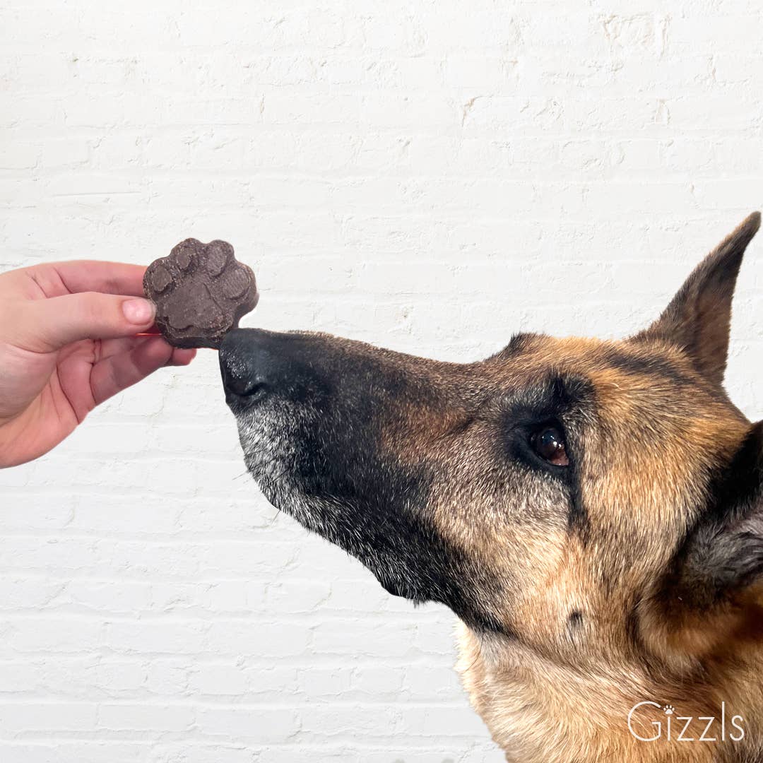 Gizzl's Zoomie Bites – The Purple One