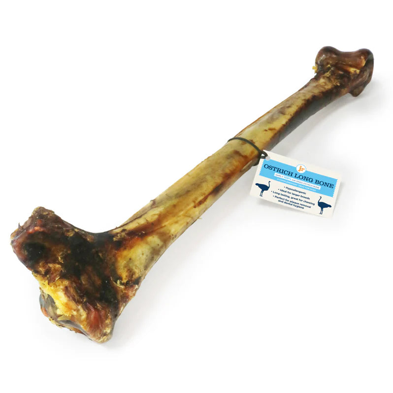 JR Pets Ostrich Long Bone