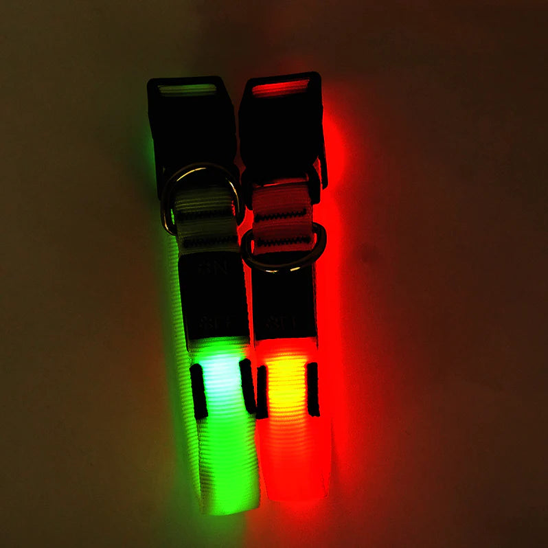 Miro & Makauri LED Flashing Collar